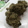Buy Harlequin Marijuana Strain