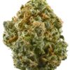 Buy Blue Dream strain
