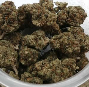 captain crunch strain price