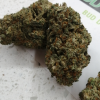 Buy Wonder Skunk Strain
