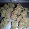 Buy Great White Shark strain