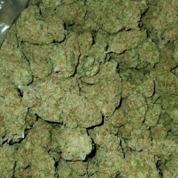 Typically, the price for one gram of flower can range from $7 to $20, and an ounce can range from $110 to $350