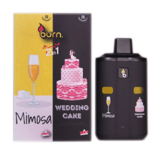 Burn Lifestyle's Disposable Vape