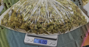 Where to Buy Kush in Alabama