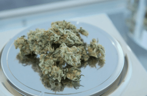 price of 1 ounce of cannabis