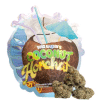 Coconut Horchata strain for sale USA